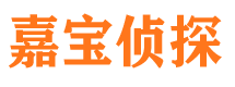 田林市场调查